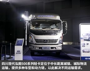 黄牌汽车马力多少