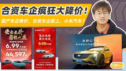 小米导致多少汽车降价