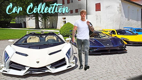 云雀牌汽车功率多少