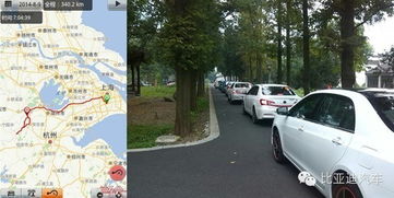 汽车跨省能带多少烟酒