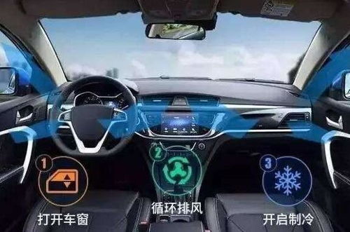 汽车后氧浓度多少