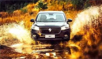 宝沃汽车多少吨