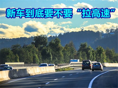 大学汽车限速是多少