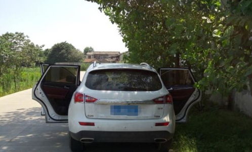 多少温度汽车怕晒