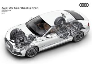 汽车加气罐压力多少 汽车加气罐压力多少