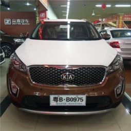 深圳有多少起亚汽车