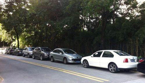 汽车能停放多少天