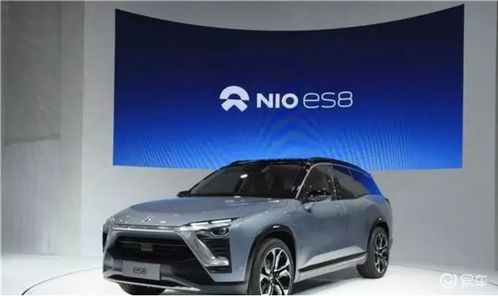 蔚来汽车期权多少