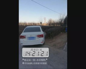 周日限汽车号多少