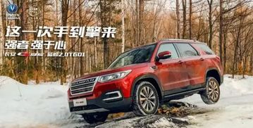 长安汽车共有多少品牌