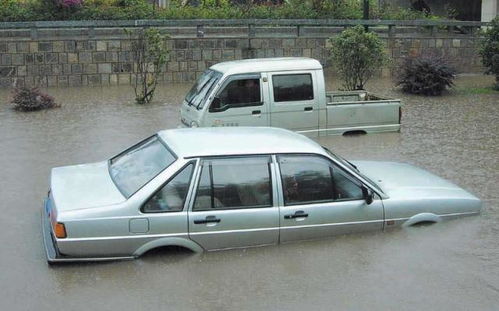 汽车走水深多少合适