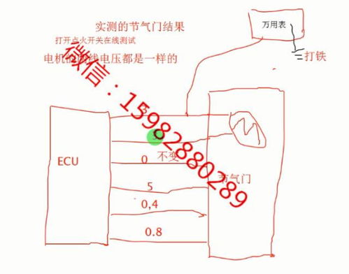 汽车电路师傅工资多少 汽车电路师傅工资多少