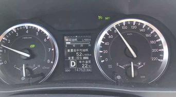 大从汽车油耗多少