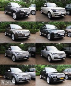 摩纳哥汽车多少钱