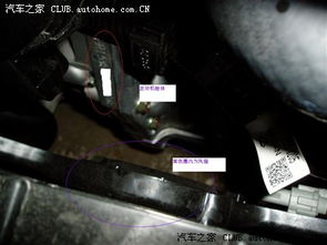 汽车有多少处钢印