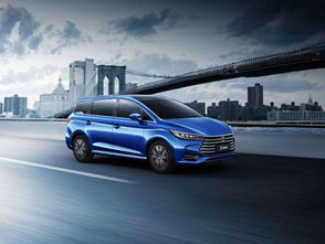 韩国汽车mvp价格多少