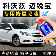 西雅图汽车油漆价格多少