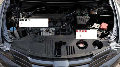 给汽车加水多少合适