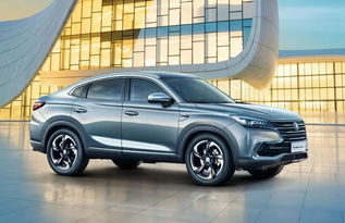 丽水汽车卖价多少