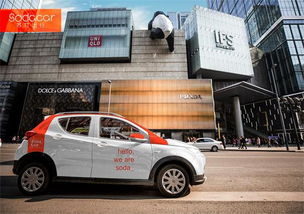 成都共享汽车投资多少