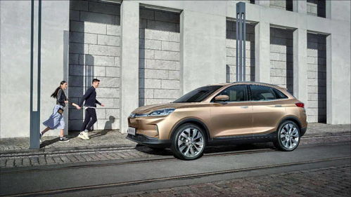 牧人马汽车售价多少