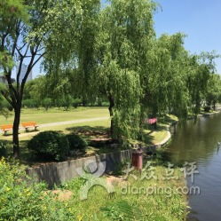 露天汽车公园门票多少