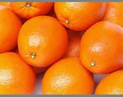 汽车拉桔子损耗多少