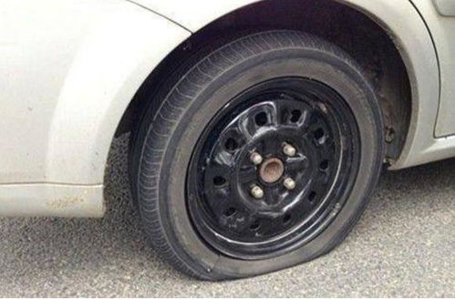 汽车后轮离地高度多少