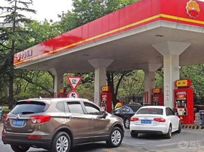 95号汽车油价多少