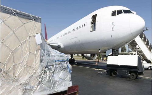 汽车空运要多少天