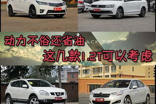 威海汽车总数有多少