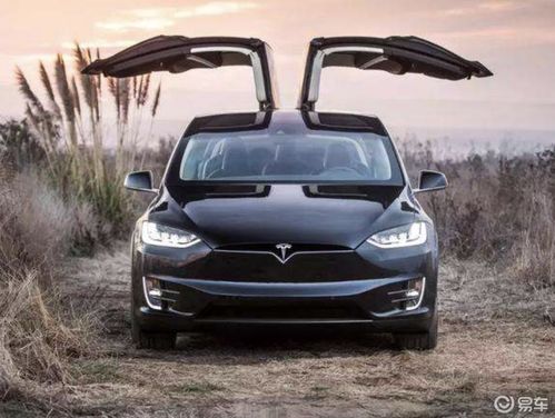特斯拉汽车需要多少万