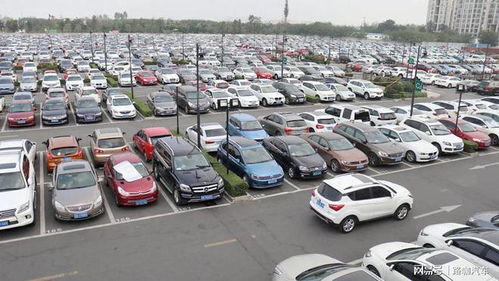 汽车停放路边多少米