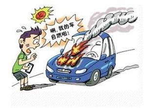 汽车安全有多少条