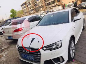 汽车有多少块漆