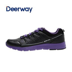 德尔惠汽车多少钱