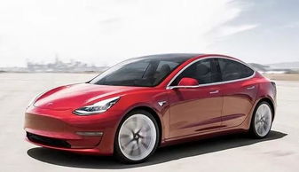 特斯拉汽车滨州销量多少