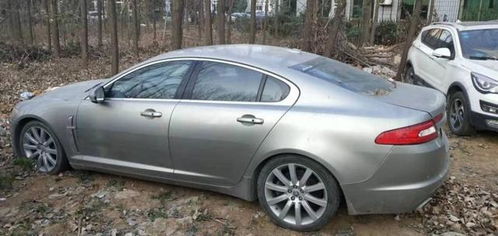 舞钢有多少辆汽车