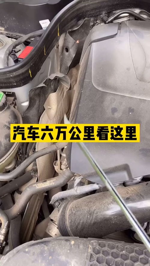 汽车多少公里倒回胎盘 汽车多少公里倒回胎盘