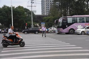 塘沽汽车逆行罚款多少 塘沽汽车逆行罚款多少