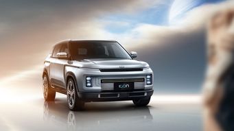 中国的汽车共有多少