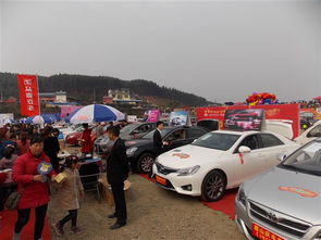 眉山丰田汽车估价多少