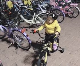 共享汽车全款多少辆车