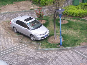 汽车压草坪罚款多少