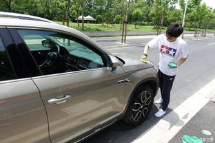 汽车分多少种蜡