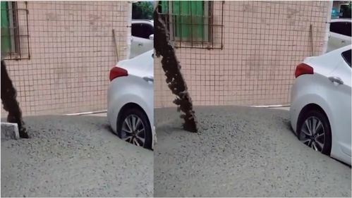 汽车摄影电话多少