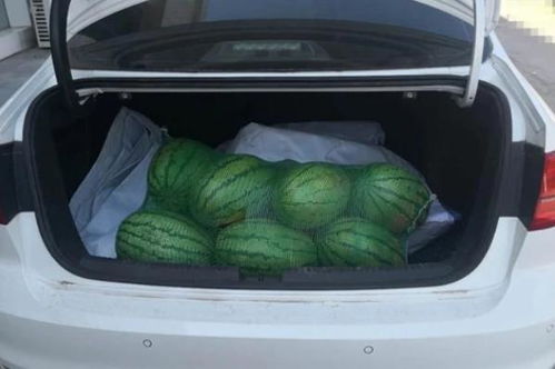 汽车能装多少西瓜