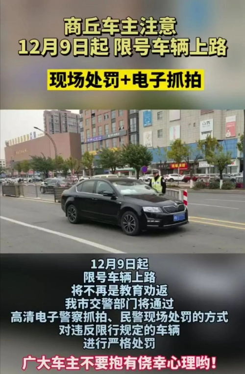 汽车违章多少天处罚