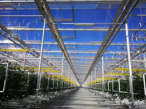 汽车棚高度多少合适