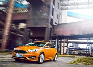 汽车达人有多少车